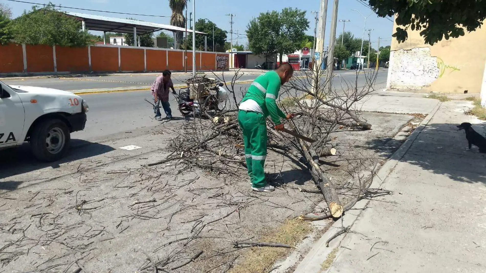 14 SIMAS SACA 170 TONELADAS DE DESECHOS EN COLONIAS 2